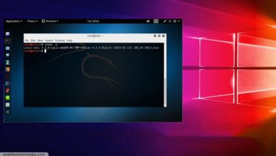 كيفية تثبيت كالي لينكس بجانب نظام التشغيل Windows